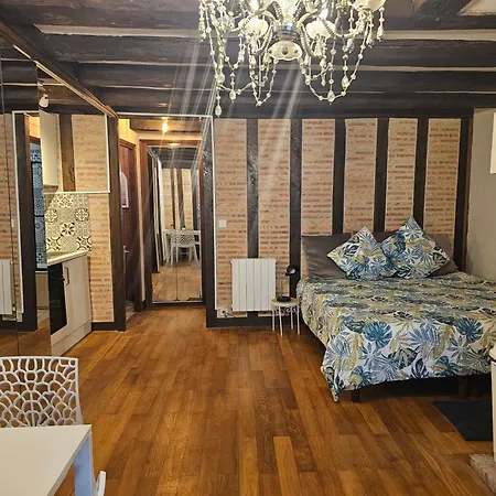 Nid Douillet Dans Vieux-tours Apartment